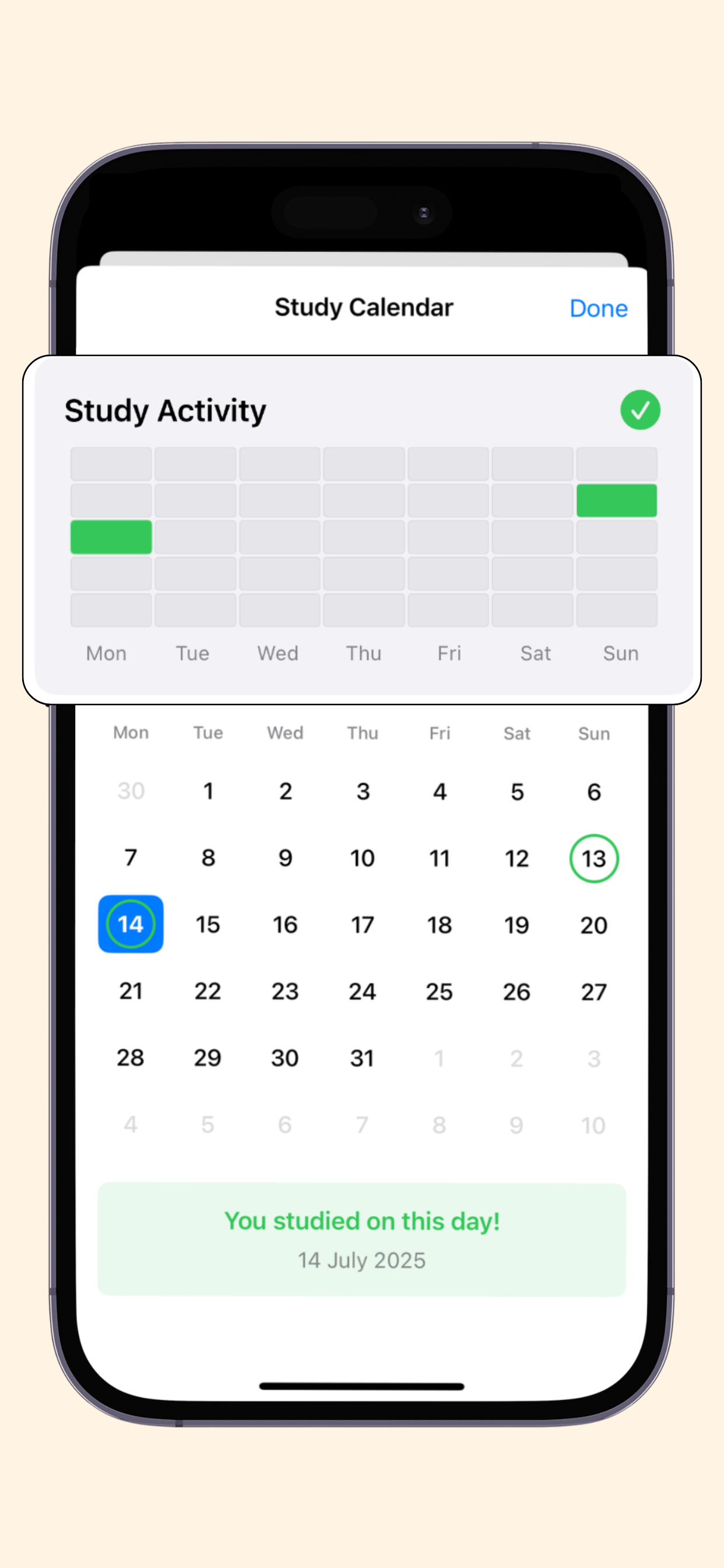 Study with quizzes and track your progress